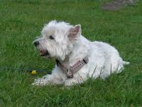 Klik op de foto voor groter formaat